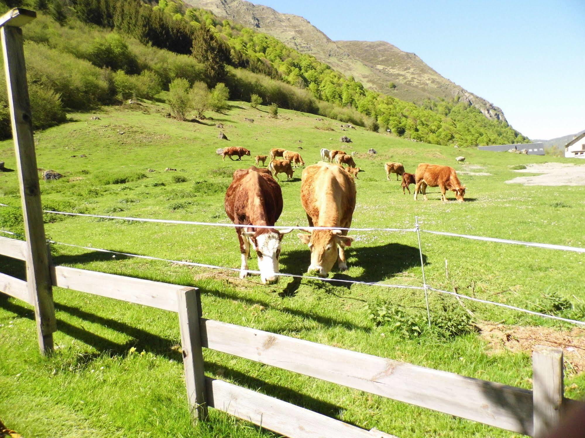 Gite Auberge Les Cascades La Mongie Eksteriør bilde